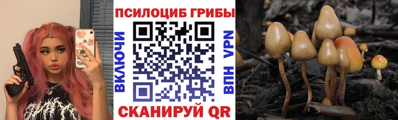 Псилоцибиновые грибы прущие грибы  сайты даркнета какой сайт  Кочубеевское 